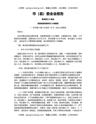 市（县）委全会报告