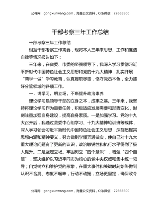 干部考察三年工作总结