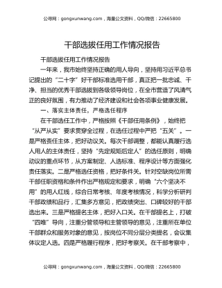 干部选拔任用工作情况报告