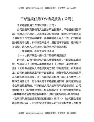 干部选拔任用工作情况报告（公司）