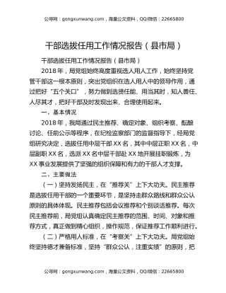 干部选拔任用工作情况报告（县市局）