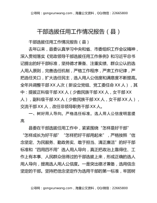 干部选拔任用工作情况报告（县）