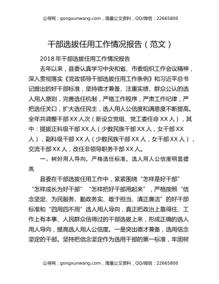 干部选拔任用工作情况报告（范文）