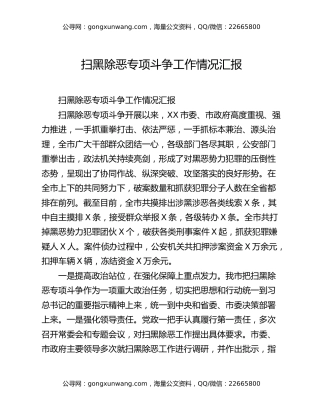 扫黑除恶专项斗争工作情况汇报