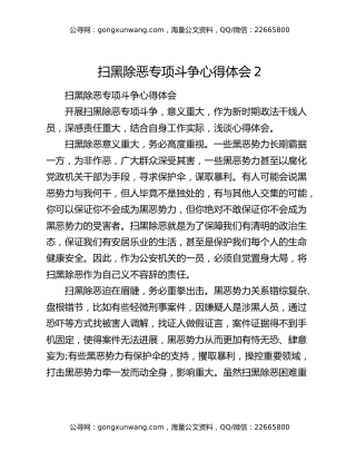 扫黑除恶专项斗争心得体会2