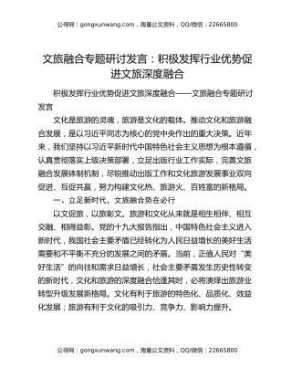 文旅融合专题研讨发言：积极发挥行业优势促进文旅深度融合