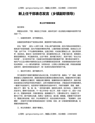 新上任干部表态发言（乡镇副职领导）