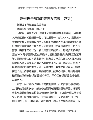 新提拔干部就职表态发言稿（范文）