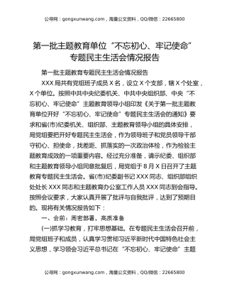 第一批主题教育单位“不忘初心、牢记使命”专题民主生活会情况报告
