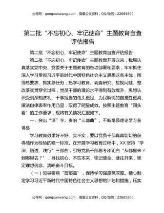 第二批“不忘初心、牢记使命”主题教育自查评估报告