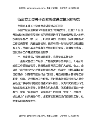 街道党工委关于巡察整改进展情况的报告