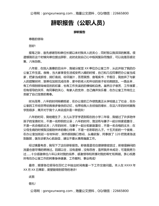 辞职报告（公职人员）