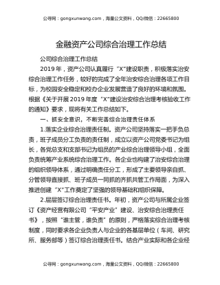 金融资产公司综合治理工作总结