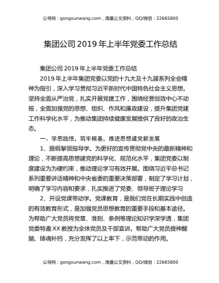 集团公司2019年上半年党委工作总结