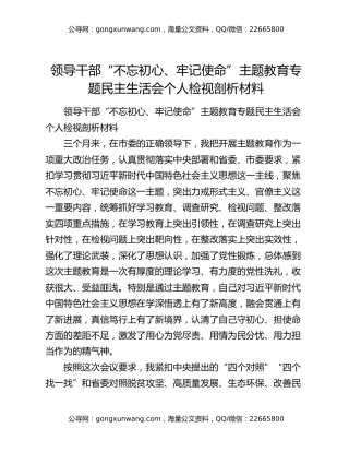 领导干部“不忘初心、牢记使命”主题教育专题民主生活会个人检视剖析材料
