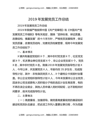 2019年发展党员工作总结