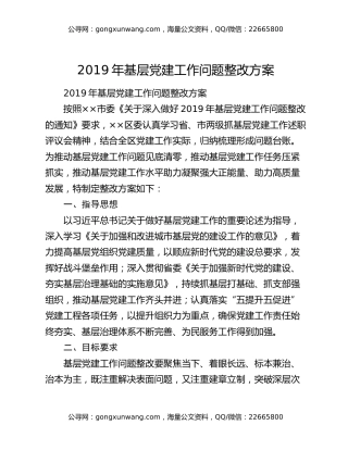 2019年基层党建工作问题整改方案