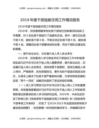 2019年度干部选拔任用工作情况报告