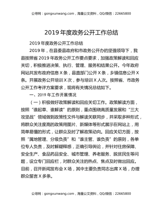 2019年度政务公开工作总结