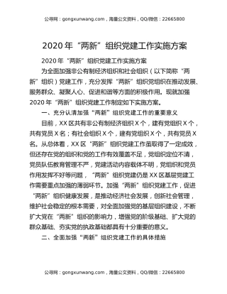 2020年“两新”组织党建工作实施方案