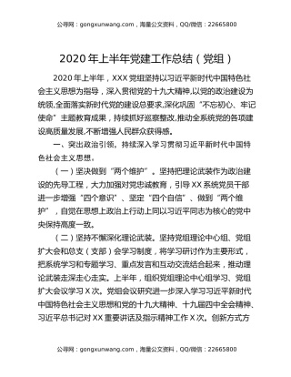 2020年上半年党建工作总结（党组）