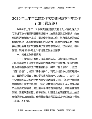 2020年上半年党建工作落实情况及下半年工作计划（党支部 ）