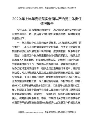 2020年上半年党组落实全面从严治党主体责任情况报告