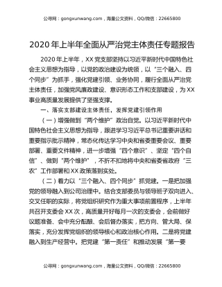 2020年上半年全面从严治党主体责任专题报告