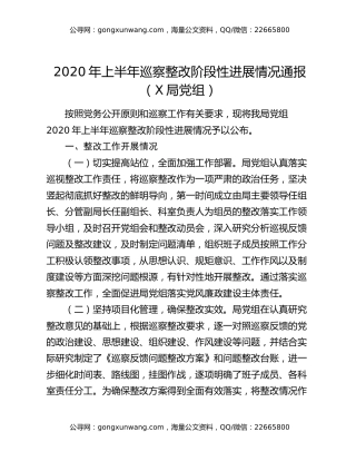 2020年上半年巡察整改阶段性进展情况通报（X局党组）