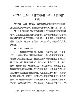 2020年上半年工作总结和下半年工作安排（镇）