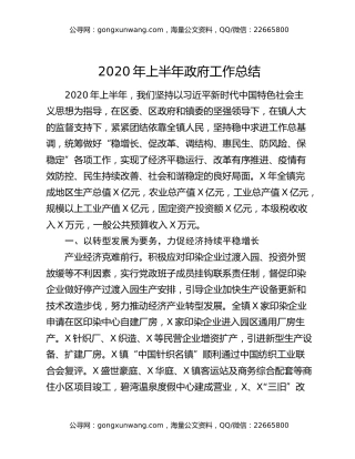 2020年上半年政府工作总结