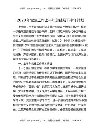 2020年党建工作上半年总结及下半年计划