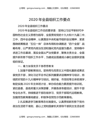 2020年全县组织工作要点