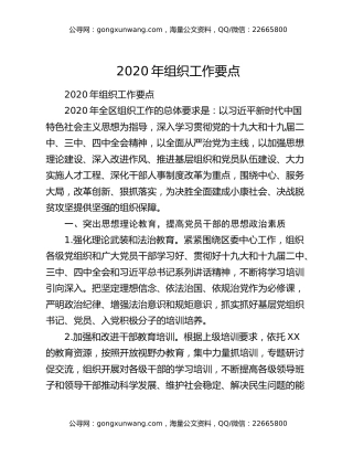 2020年组织工作要点