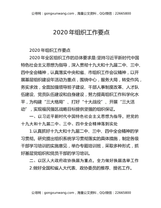 2020年组织工作要点（2）