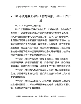 2020年镇党委上半年工作总结及下半年工作计划