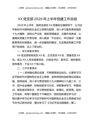 XX党支部2020年上半年党建工作总结
