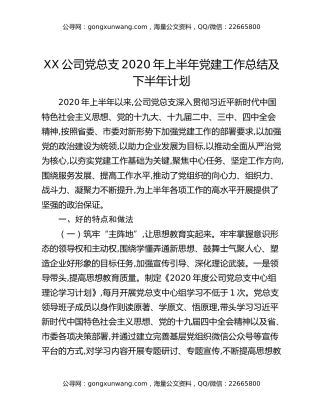 XX公司党总支2020年上半年党建工作总结及下半年计划