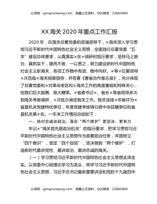 XX海关2020年重点工作汇报