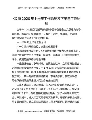 XX镇2020年上半年工作总结及下半年工作计划