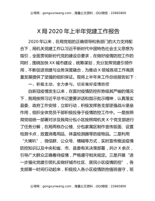 X局2020年上半年党建工作报告