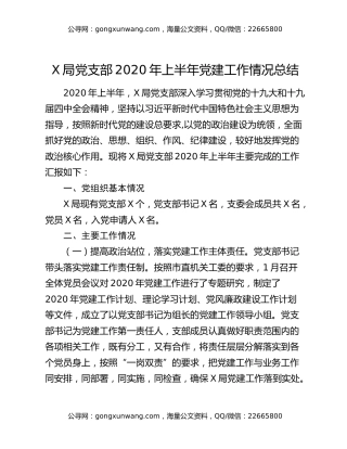 X局党支部2020年上半年党建工作情况总结