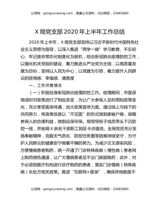 X局党支部2020年上半年工作总结