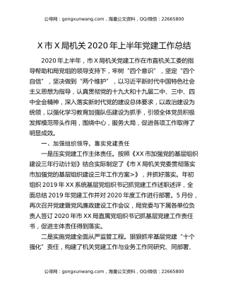 X市X局机关2020年上半年党建工作总结