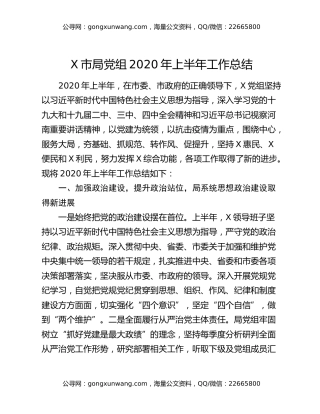 X市局党组2020年上半年工作总结