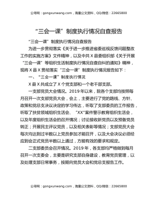 “三会一课”制度执行情况自查报告