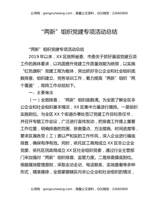 “两新”组织党建专项活动总结