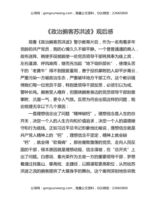 《政治掮客苏洪波》观后感