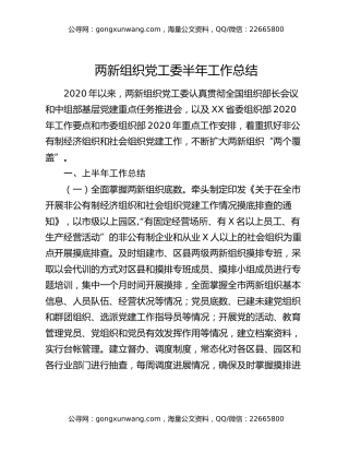 两新组织党工委半年工作总结