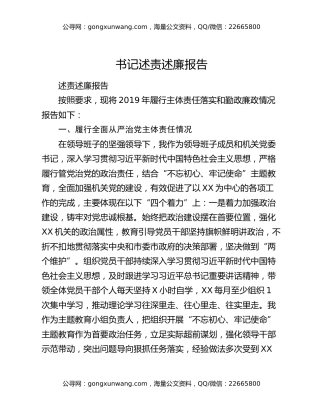 书记述责述廉报告